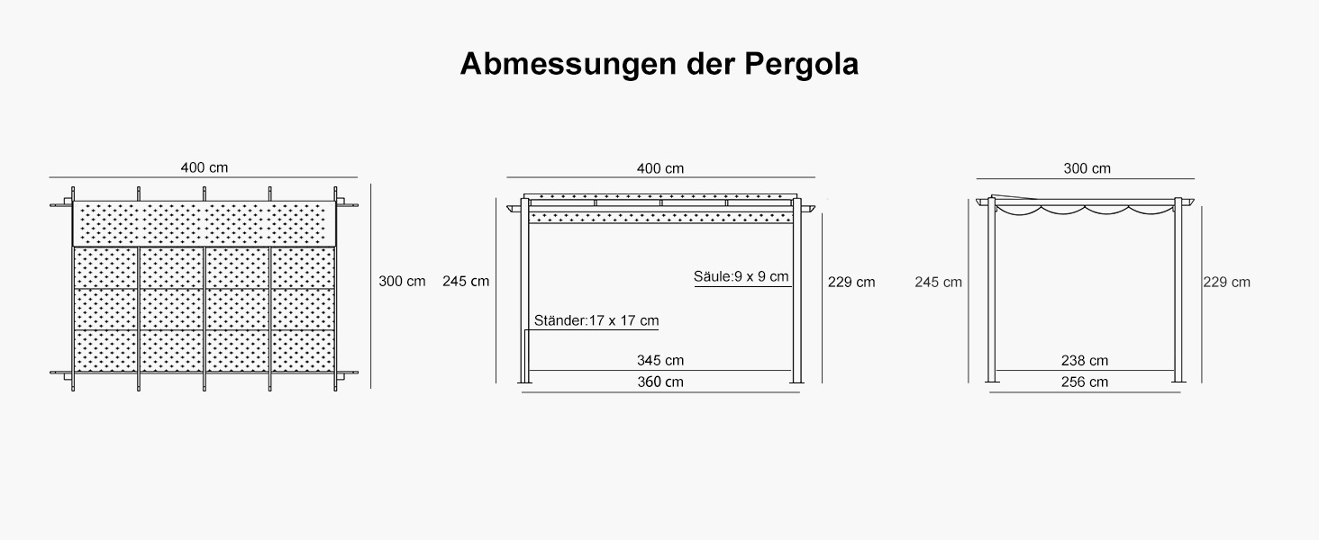 Pasted Image