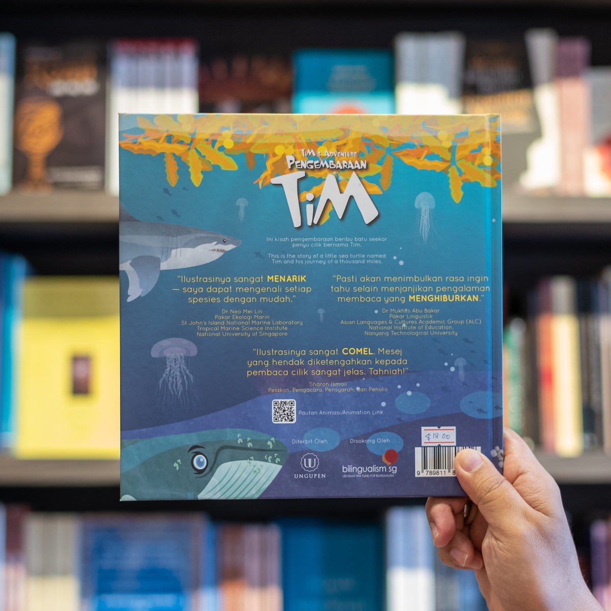 Tim's Adventure、mySite、topwebapps