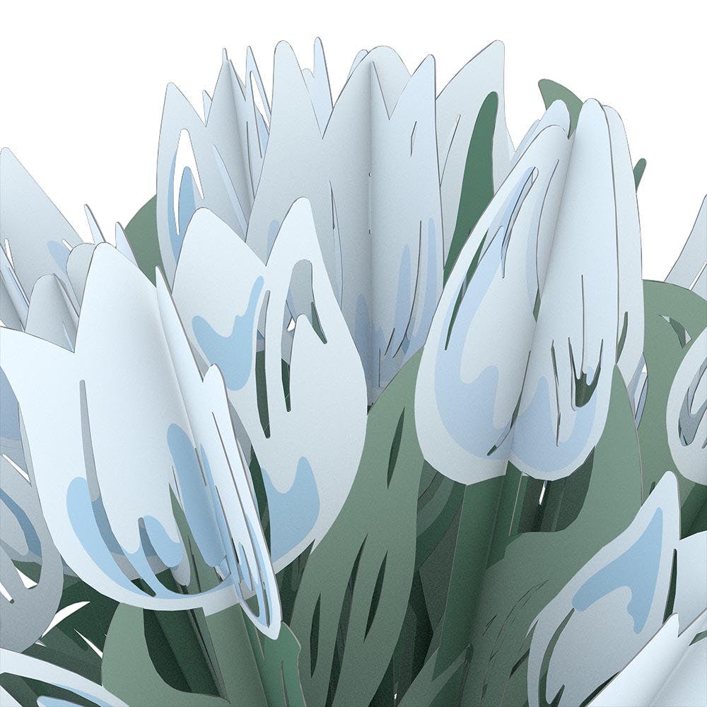 Sympathy Tree and Tulips Bundle、mySite、solidvoid