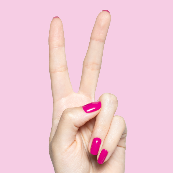 Leotard、mySite、solidvoid