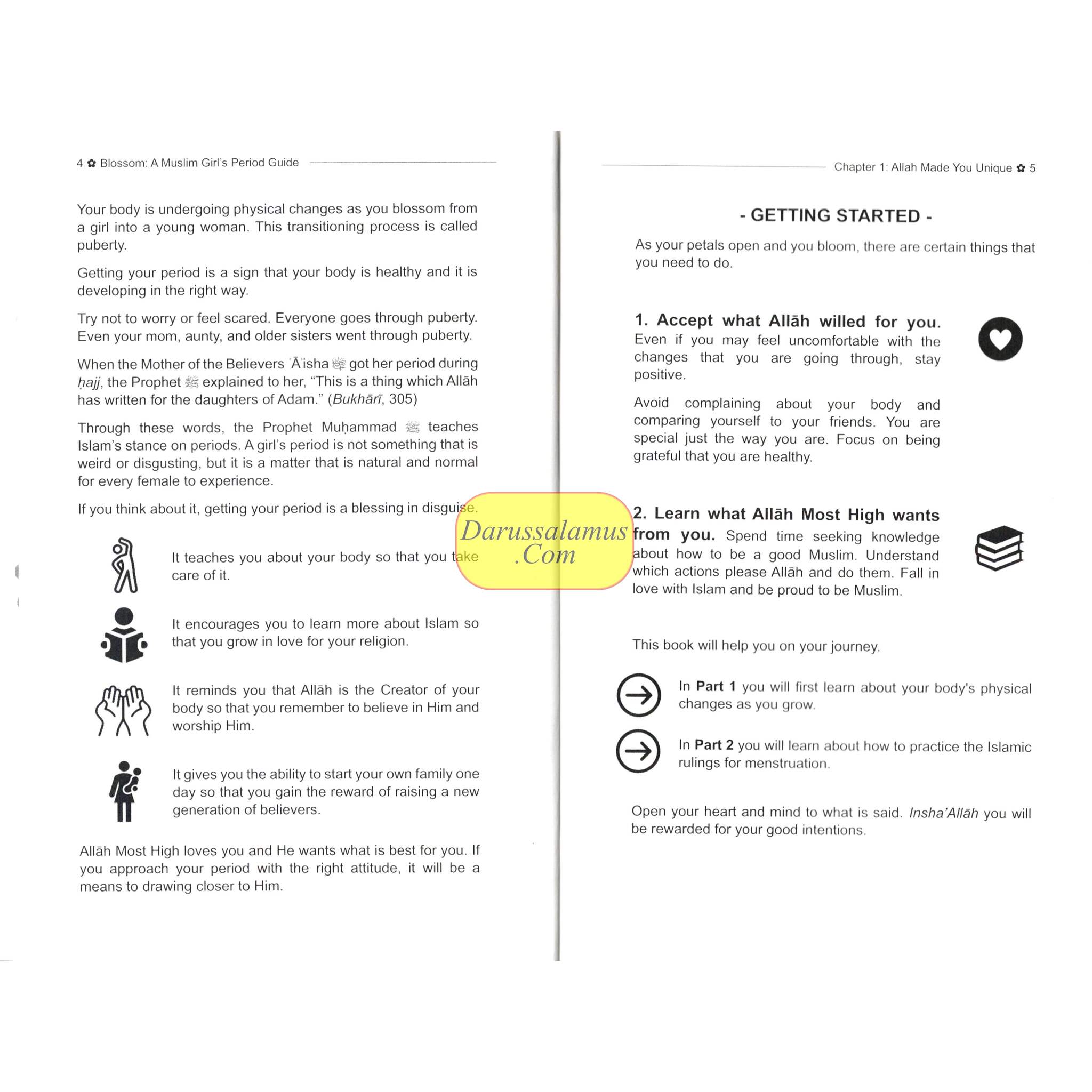 Blossom: A Muslim Girl's Period Guide by Naielah Ackbarali、mySite、topwebapps