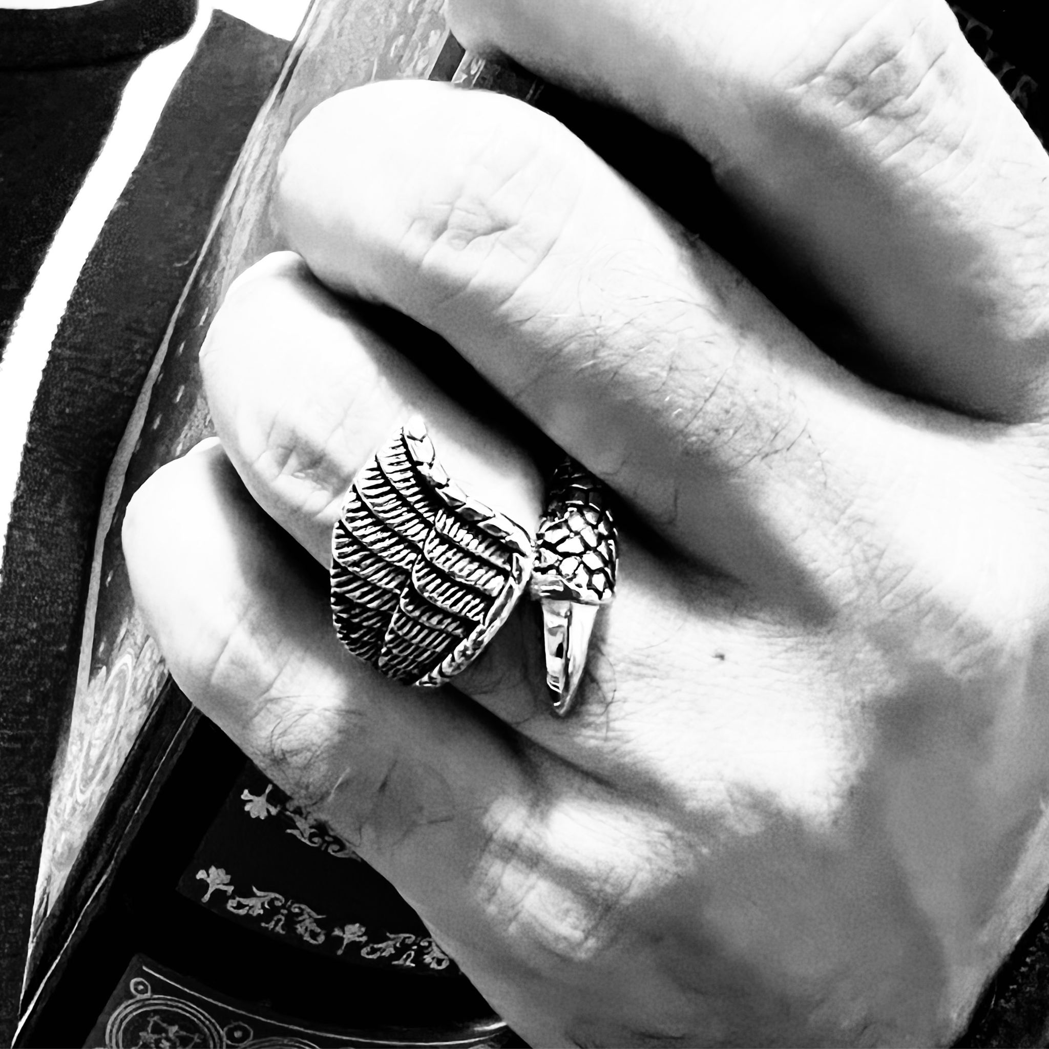 Stainless Steel Dragon Claw And Angel Wing Ring / SCR4007、mySite、dreamappss