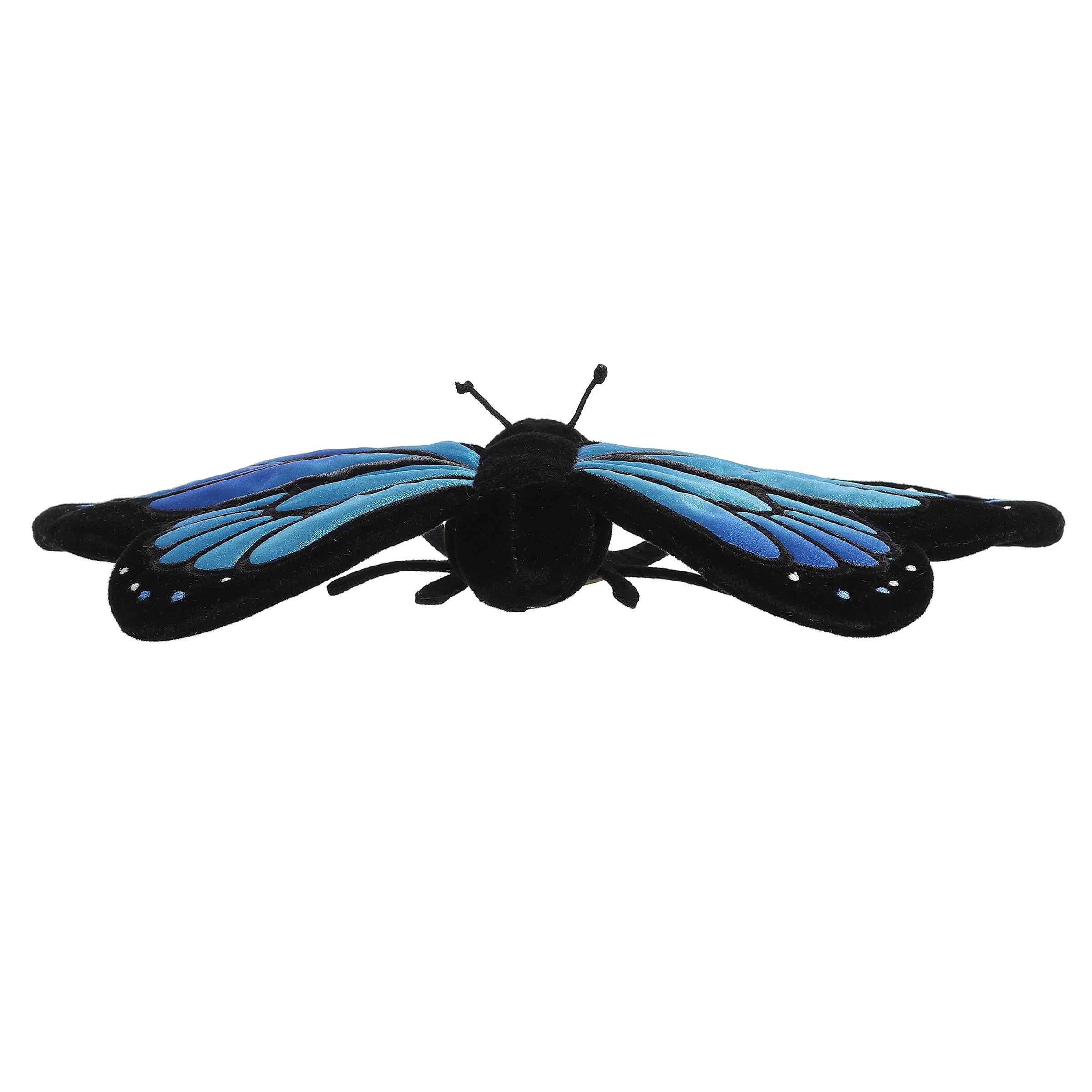 Aurora® - Miyoni® - 13 Morpho Butterfly、mySite、g9winljtr