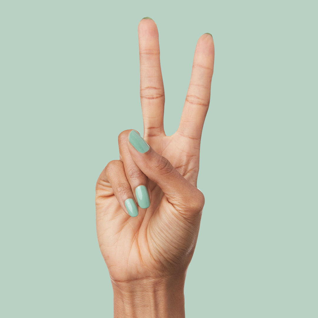 The Spring Set 2022、mySite、solidvoid