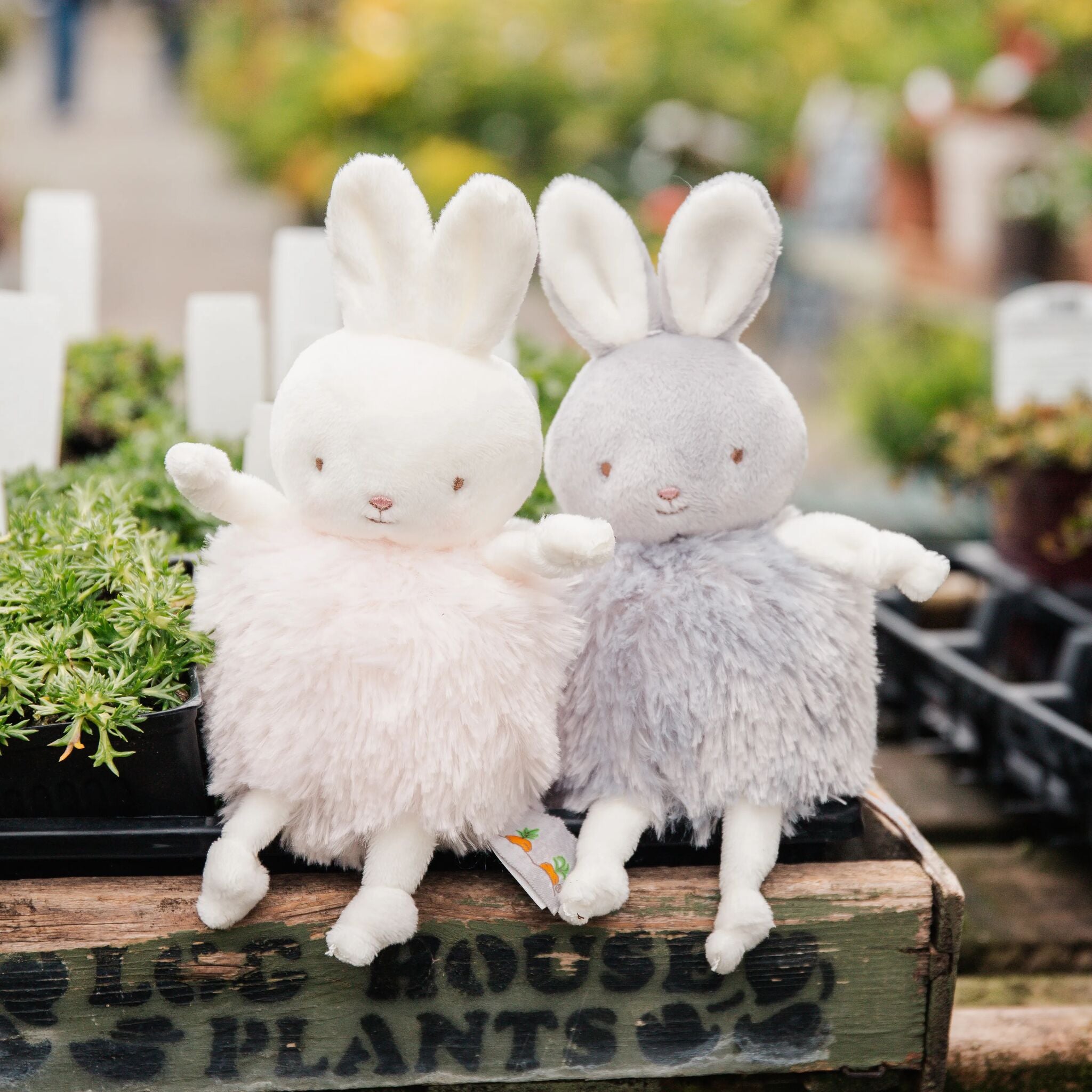 Roly Poly Blossom- Pink Bunny、mySite、g9winljtr