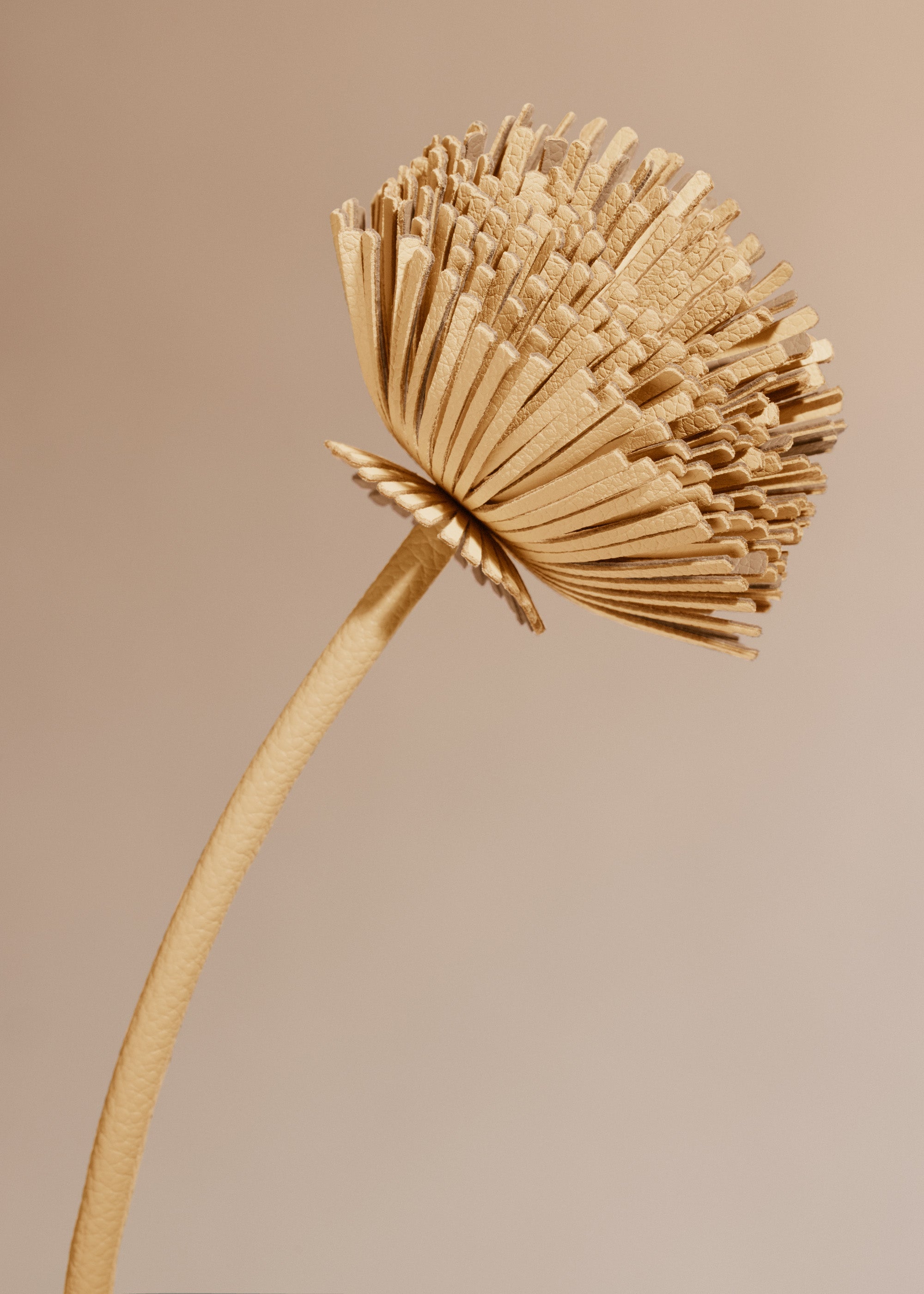 Fleur Tul - Duo Bl茅 Grain茅、mySite、camillekostekn