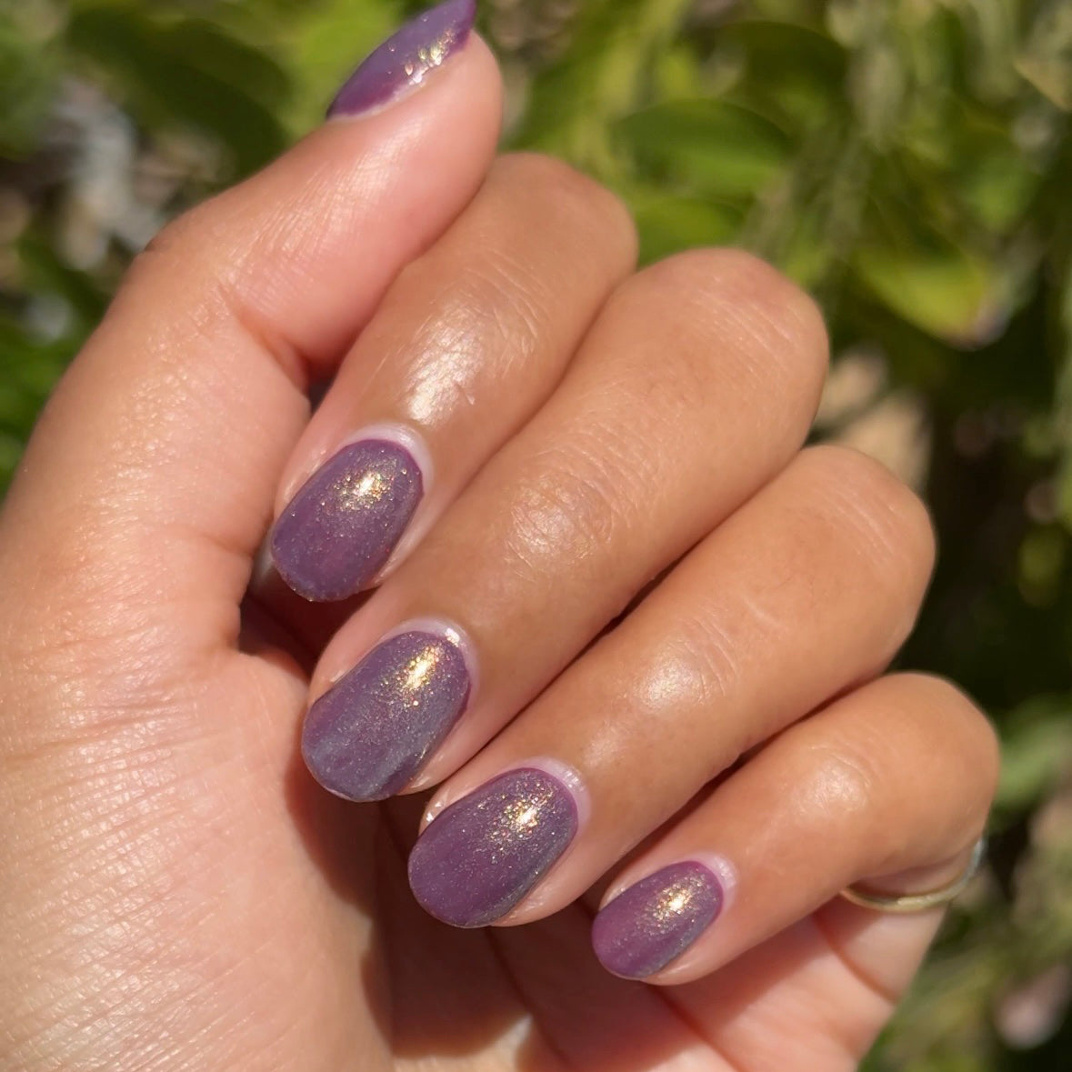 Sugar Plum Fairy、mySite、solidvoid