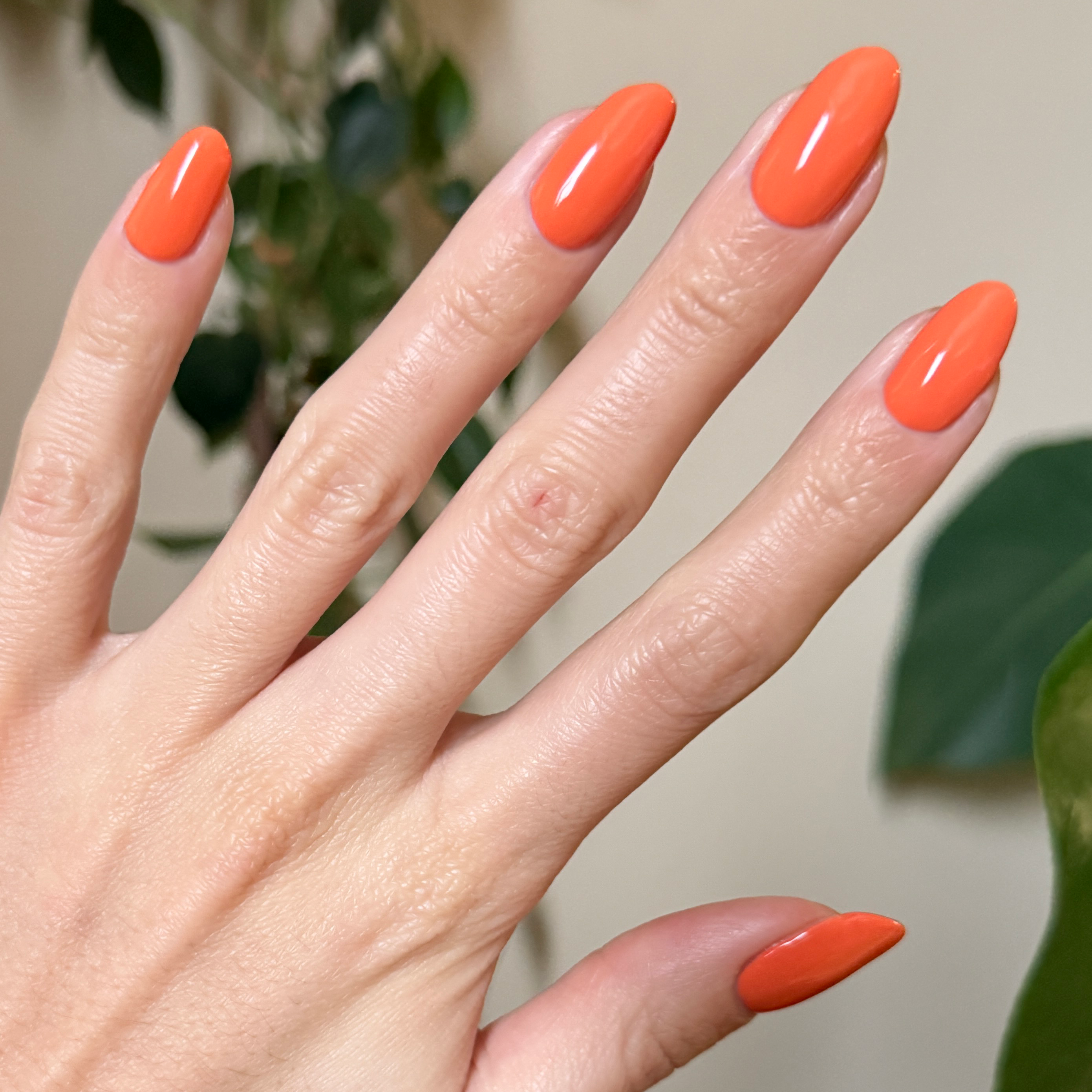 Bounce Back、mySite、solidvoid