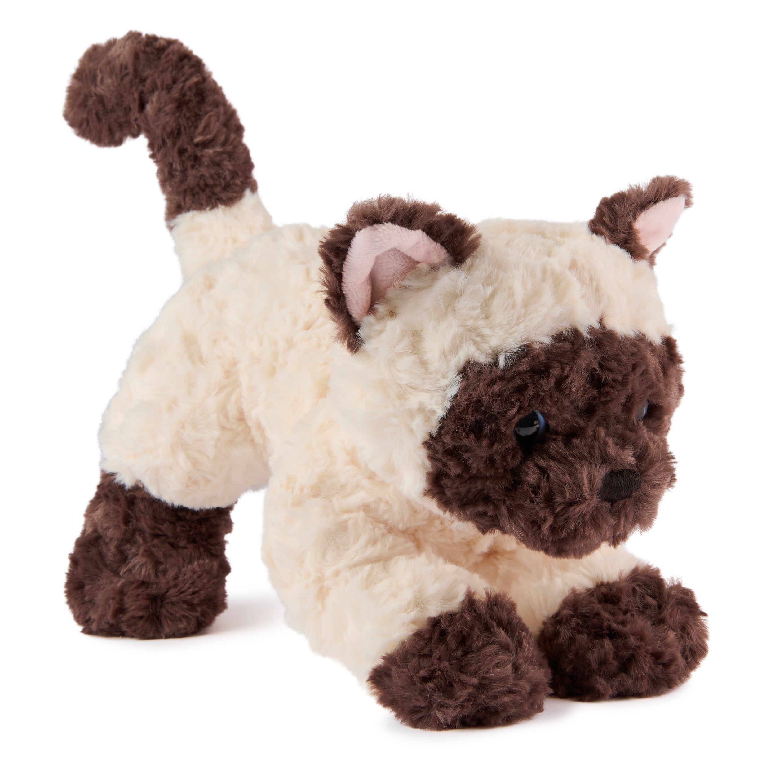 Bootsie Siamese Kitten, 9 in、mySite、pszhyizbm