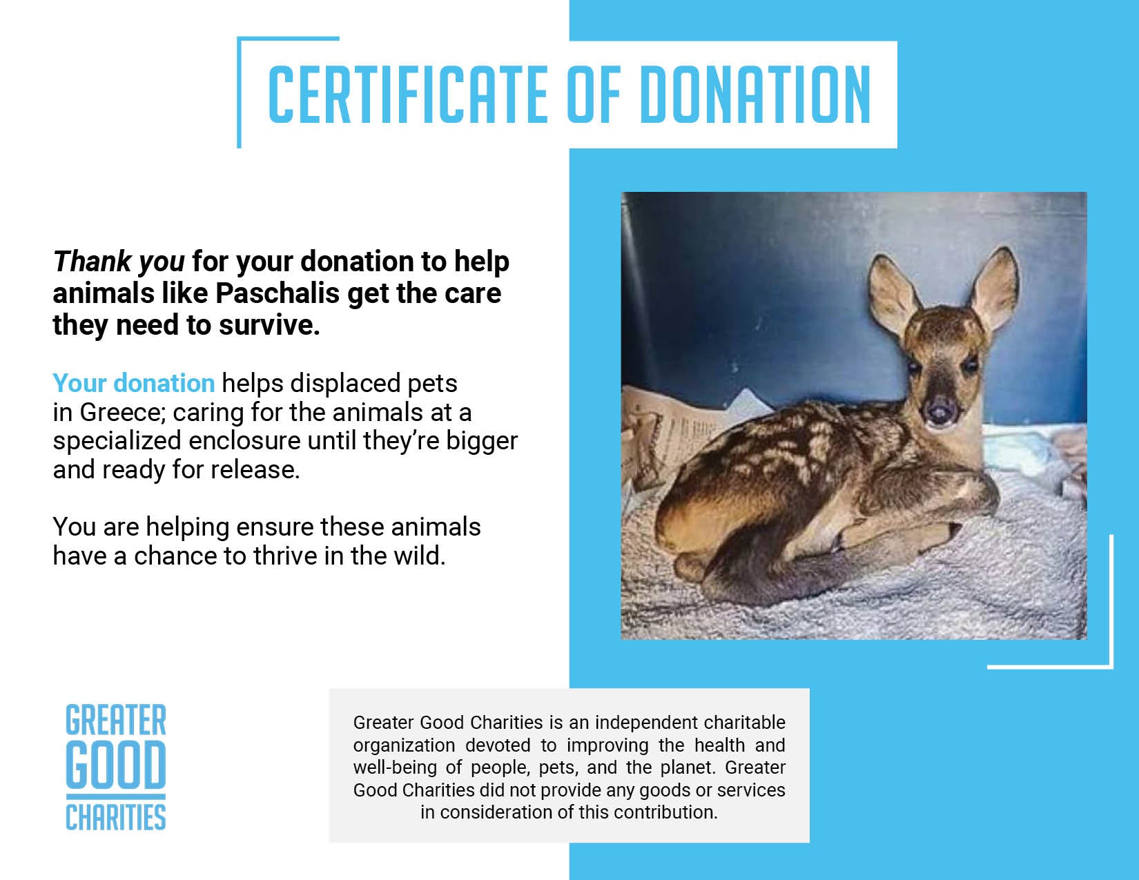 Funded: Orphaned Baby Deer Needs Specialized Care to Grow、mySite、camillekostekn