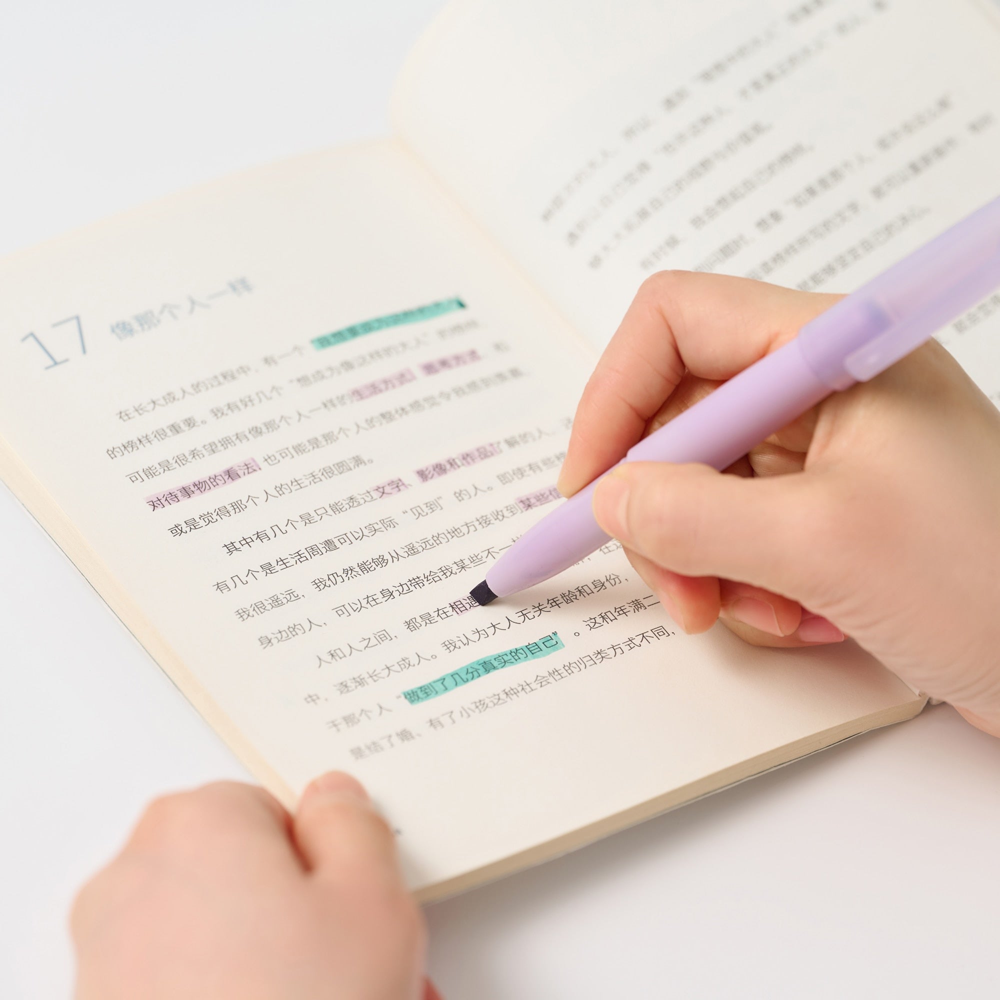  Compact Line Marker Cap Type - Smoky Mustard、mySite、sugarbowlscore