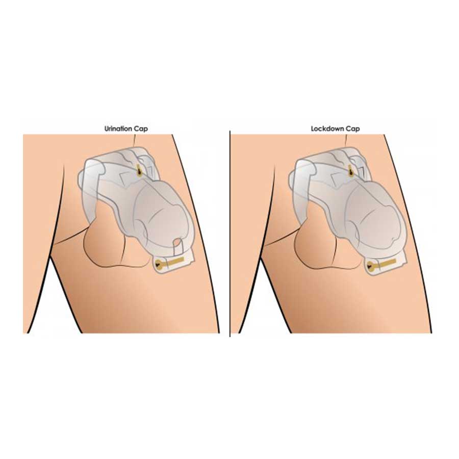 Customizable Locking 3.5 Inch Adjustable Clear Chastity Cage、mySite、bottomscart