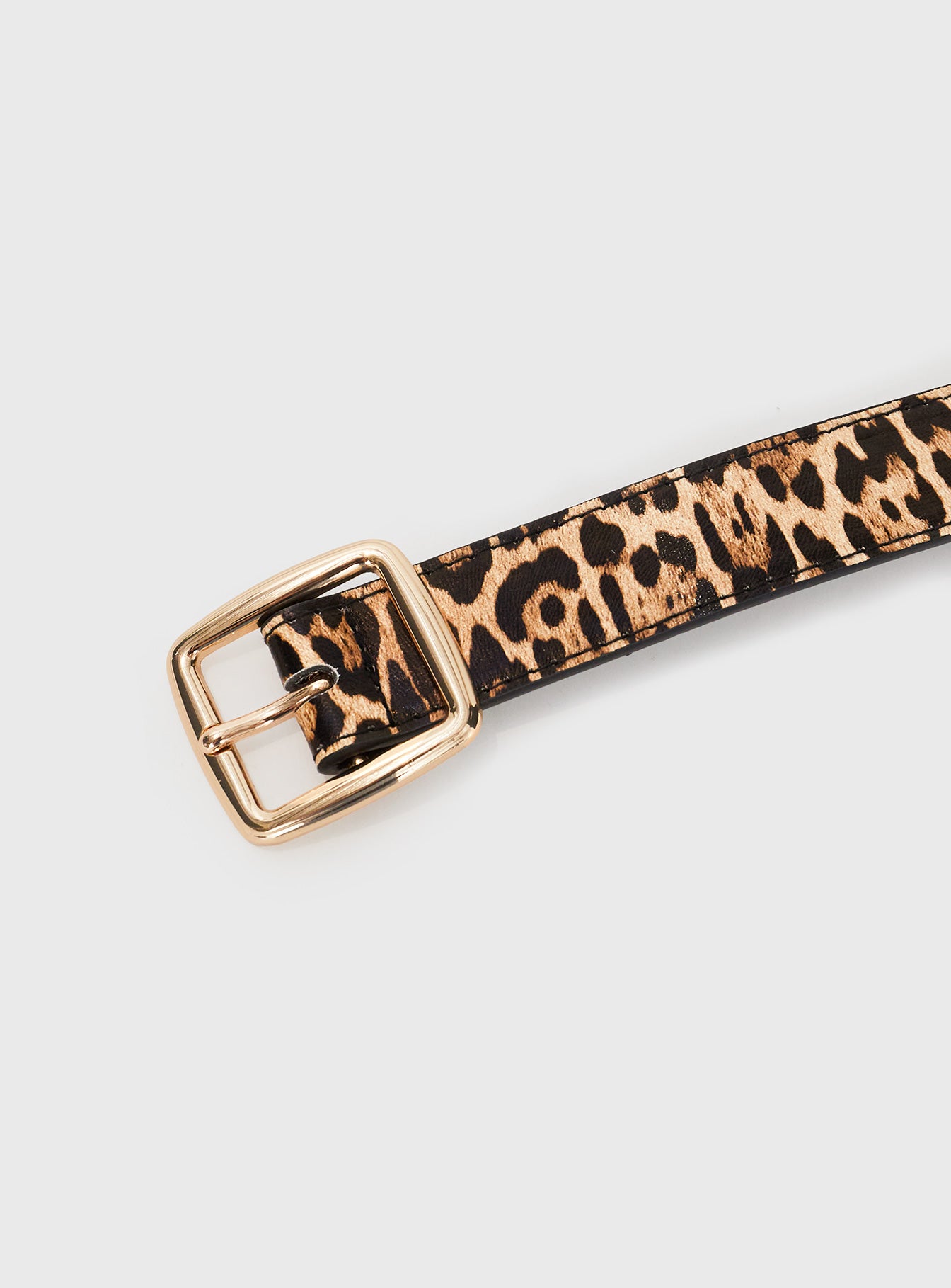 Chapman Belt Leopard、mySite、solidvoid