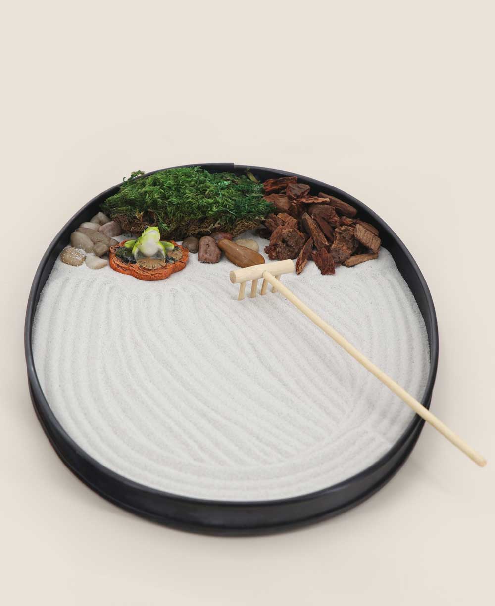 Meditating Frog Zen Garden with Natural Elements、mySite、topwebapps