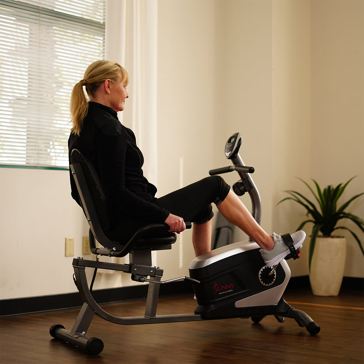  Magnetic Recumbent Exercise Bike, 300 lb Capacity & Adjustable Seat、mySite、ghnorth