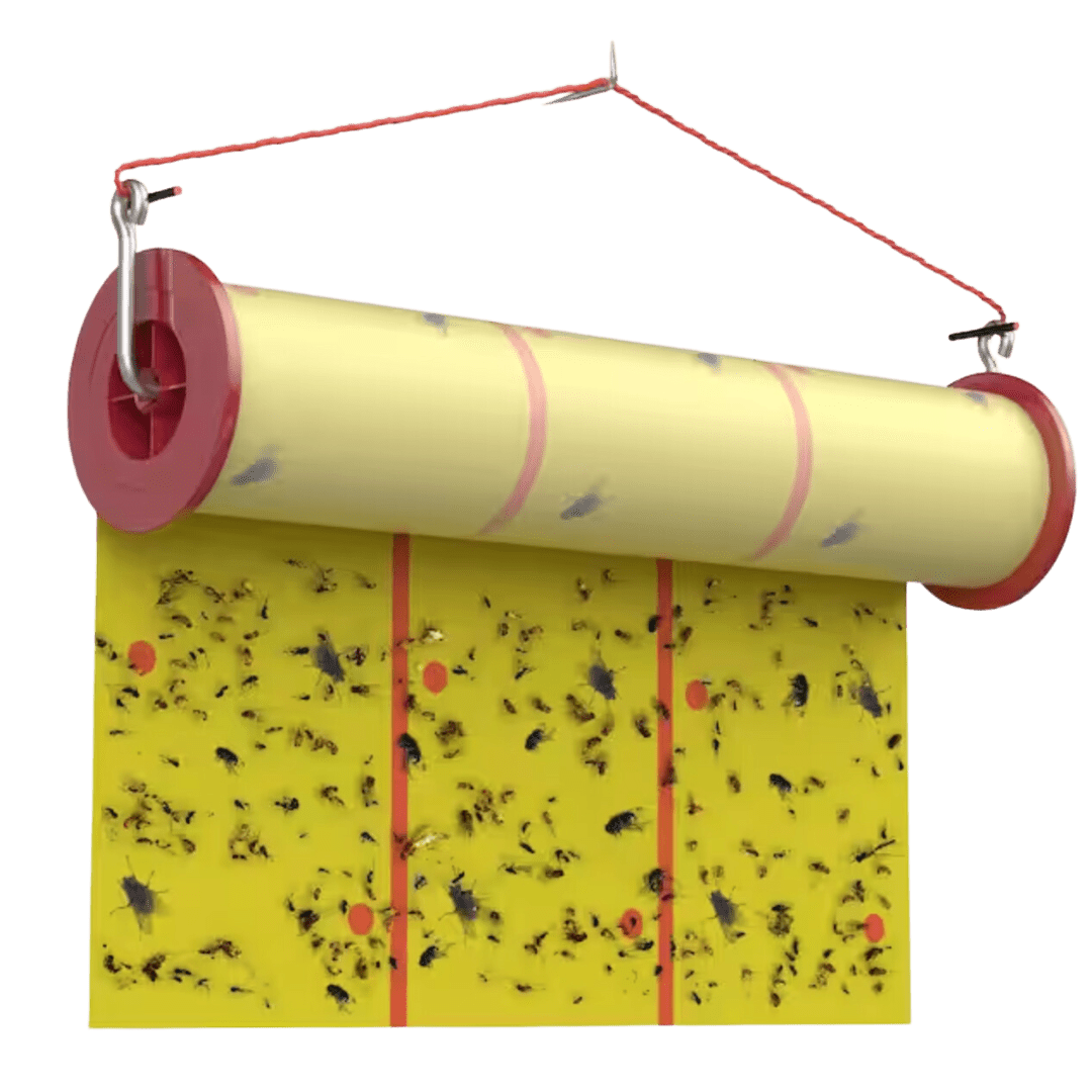 Giant Sticky Fly Tape Roll (15M)、mySite、lovesweatpilates