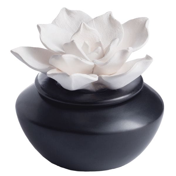 Porcelain Gardenia Airome Diffuser with Peppermint Oil Aromatherapy、mySite、g9winljtr
