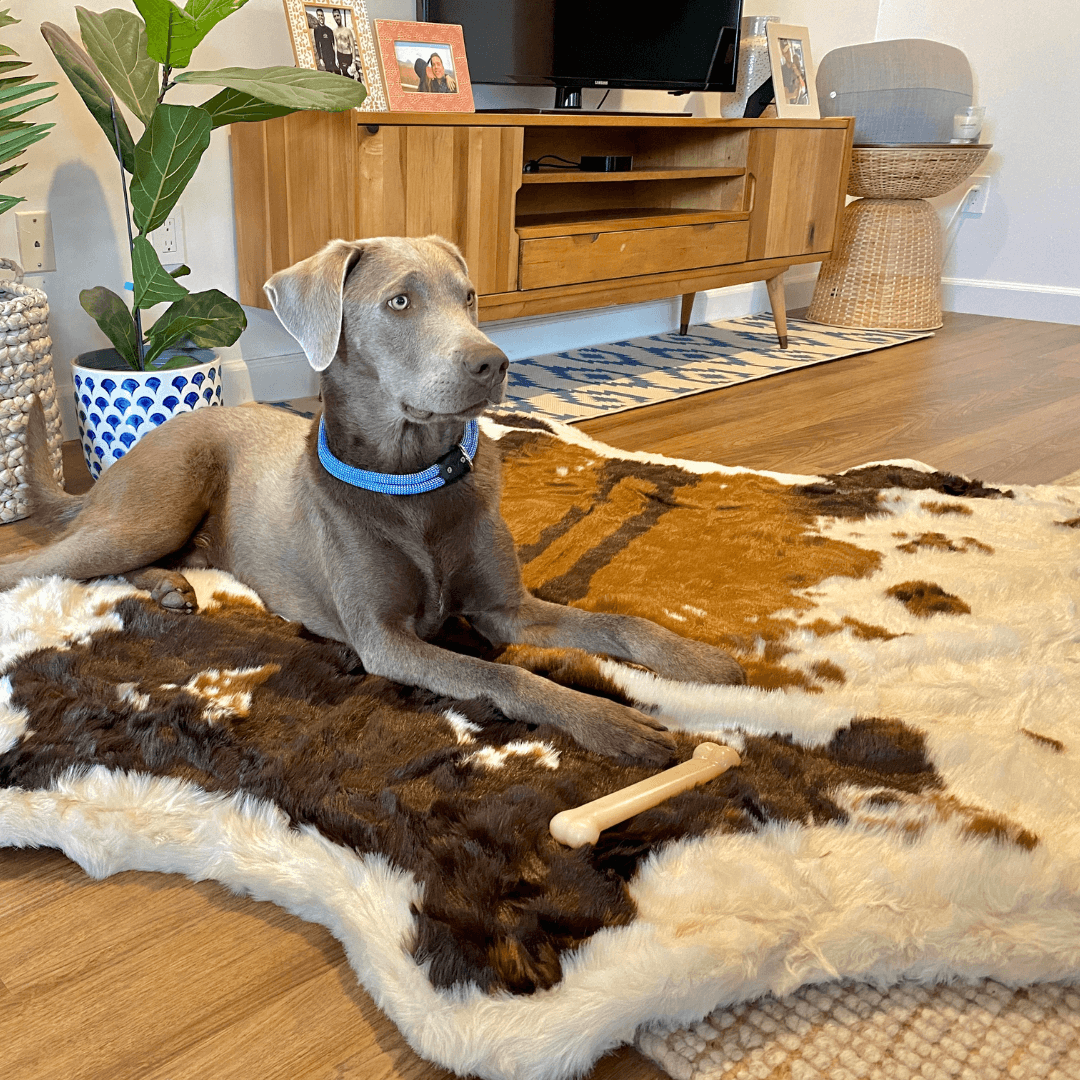 PupRug™ Animal Print Memory Foam Dog Bed - Brown Faux Cowhide、mySite、solidvoid