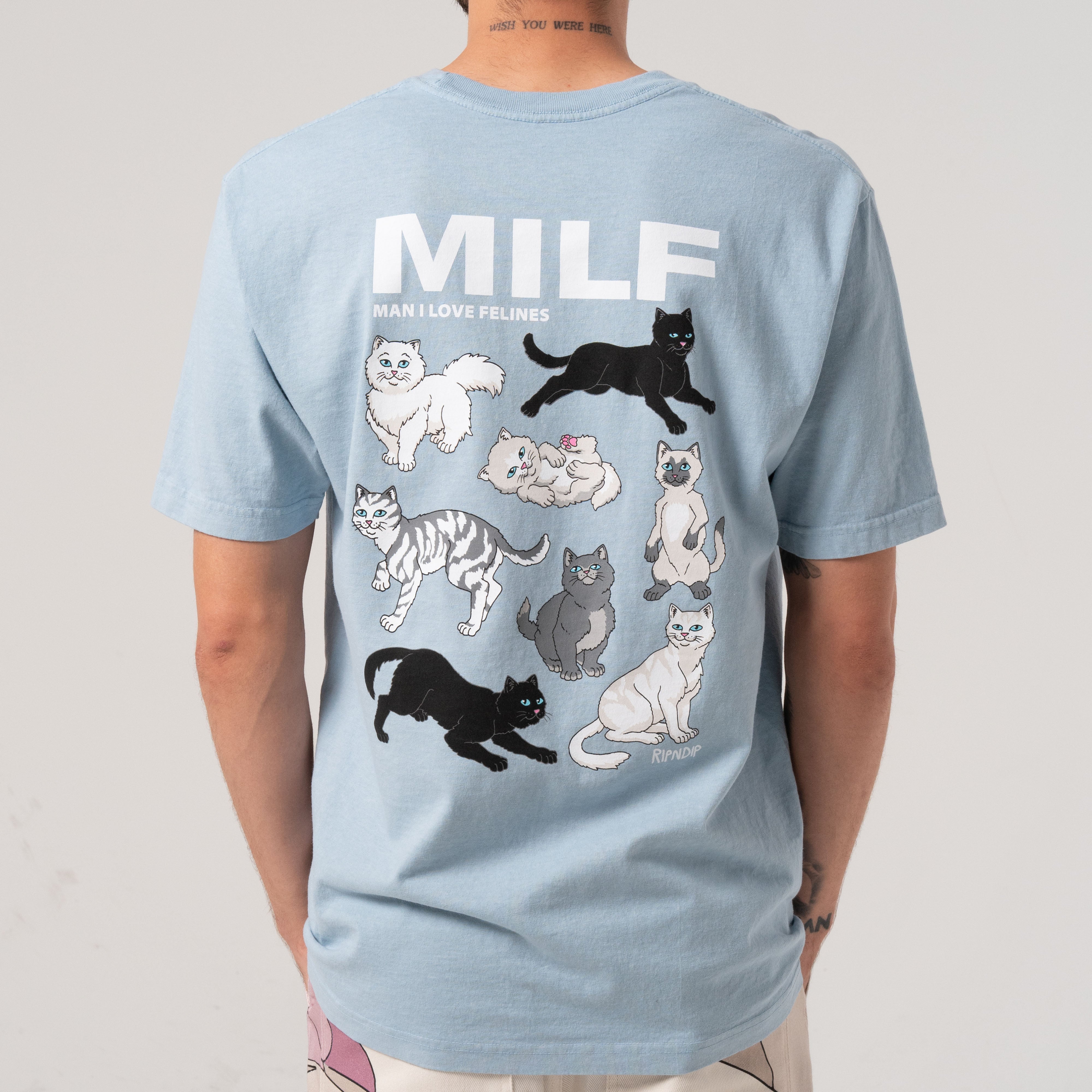  Man I love Felines Tee (Powder Blue)、mySite、merchandisen