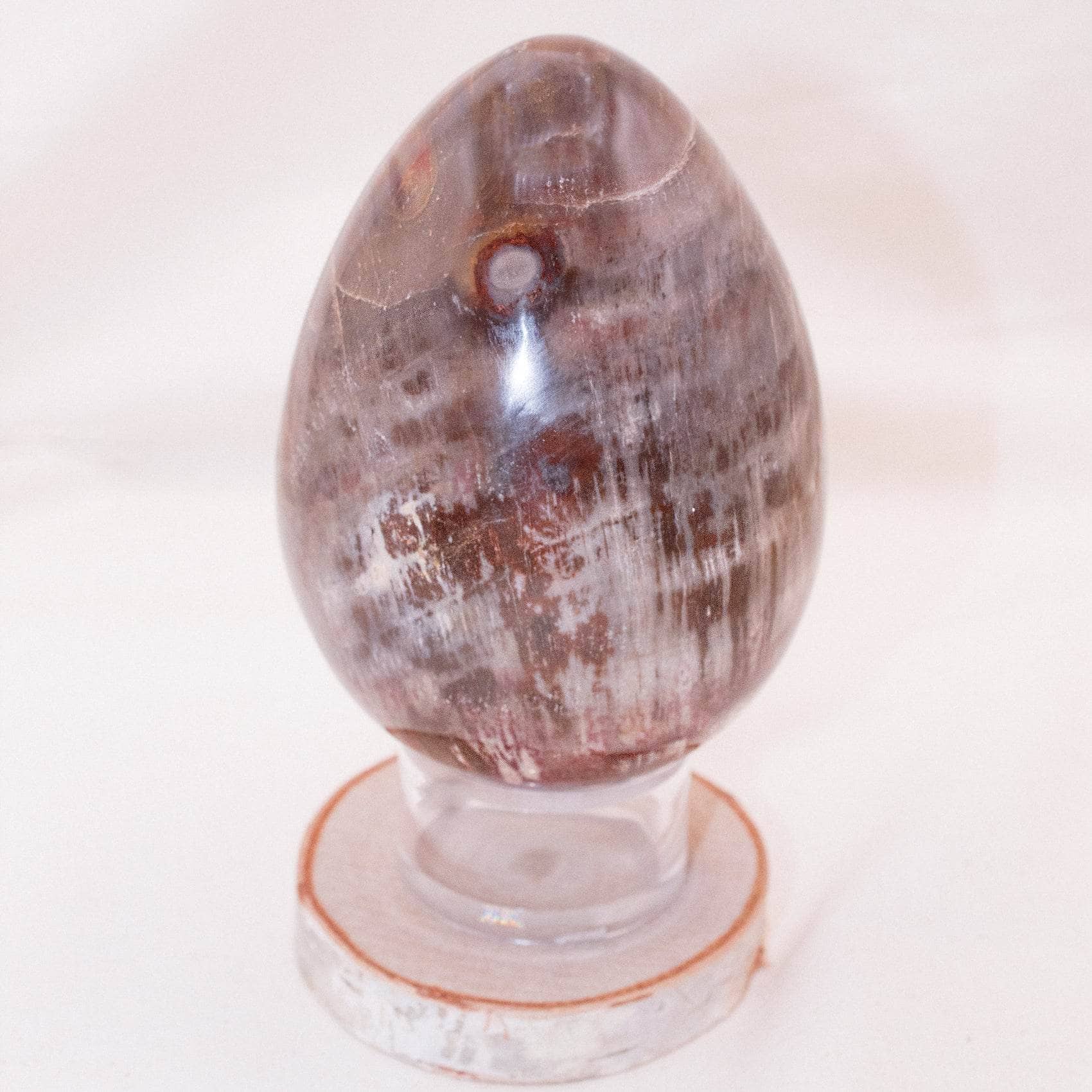 Petrified Wood Egg - AAA Premium Quality、mySite、hinf8tx79