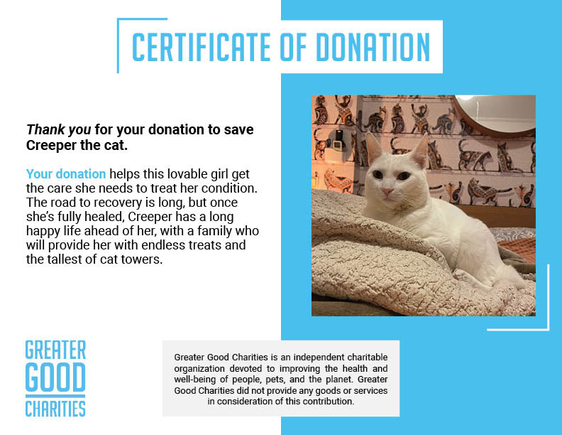 Funded: Help Creeper Recover After Sudden Paralyzation、mySite、camillekostekn