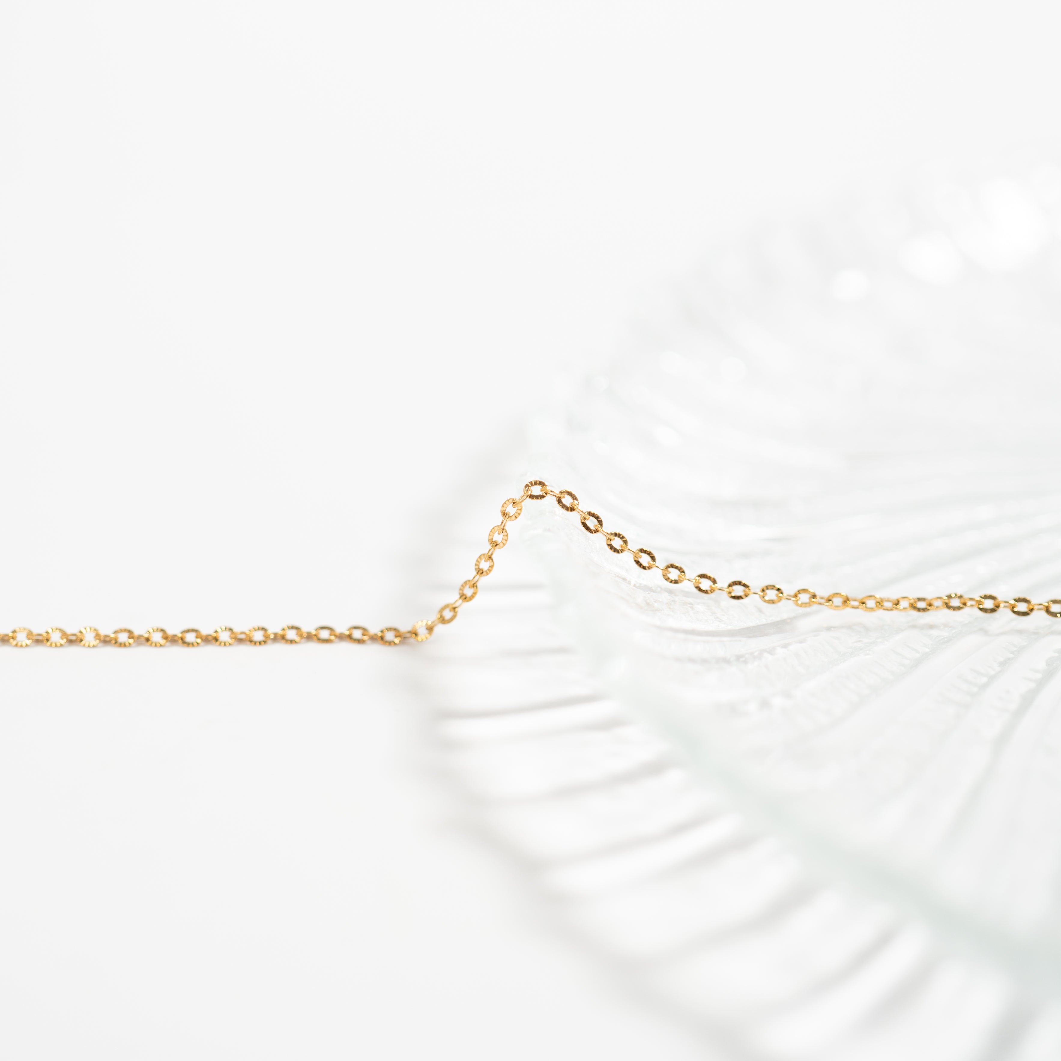 18K Gold PVD Stainless Steel Crimped Oval Link Chain Necklace / CHN3012、mySite、dreamappss