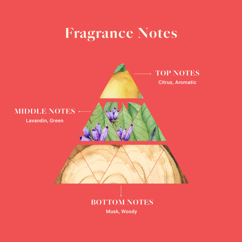 Air Freshener Dancing Dawn | Bathroom, Wardrobe & Car | Pack of 6、mySite、camillekostekn