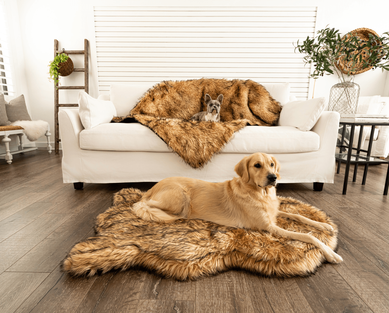 PupRug™ Orthopedic Bed + Matching Waterproof Blanket Bundle- Sable Tan、mySite、solidvoid