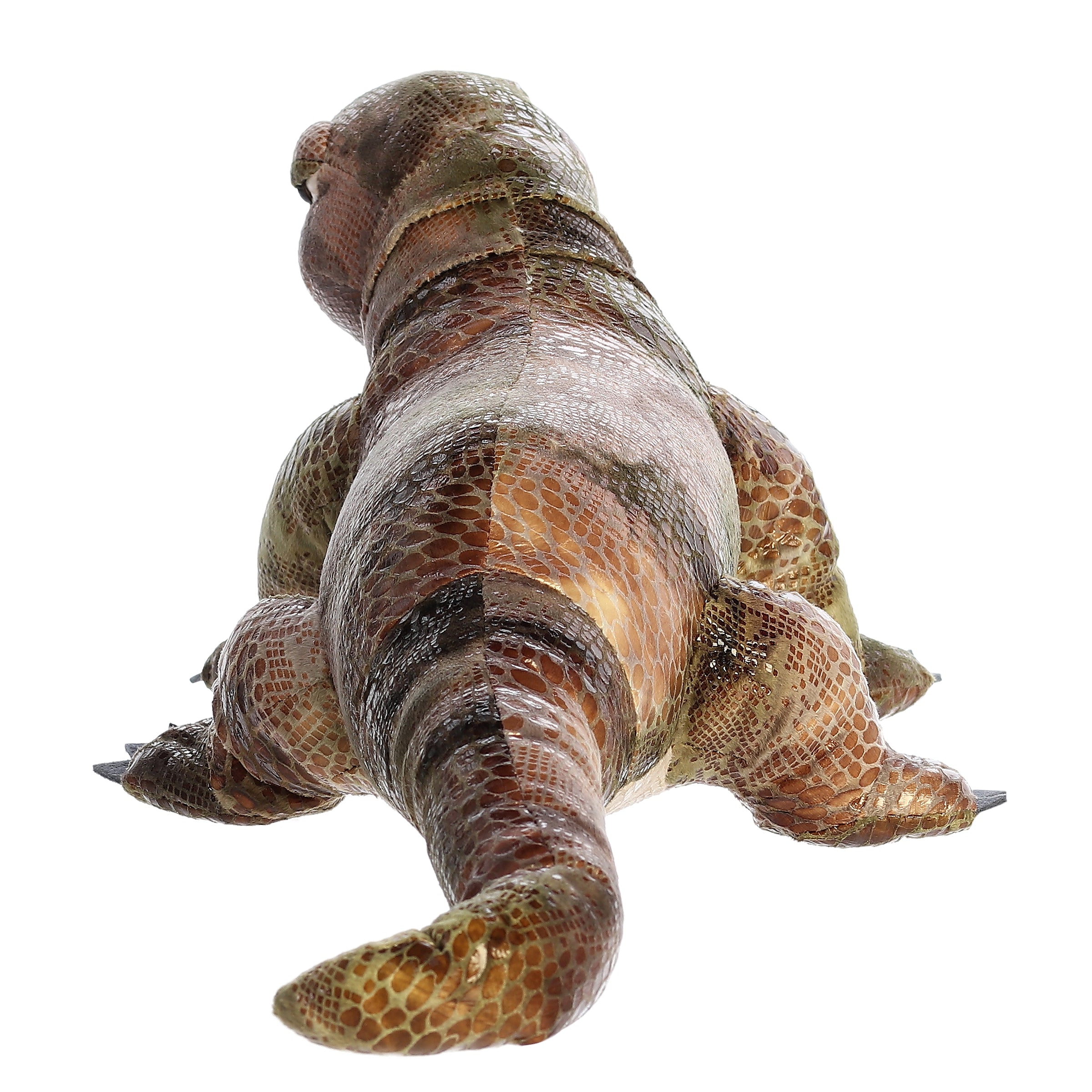 Aurora® - Miyoni® - 20 Komodo Dragon、mySite、g9winljtr