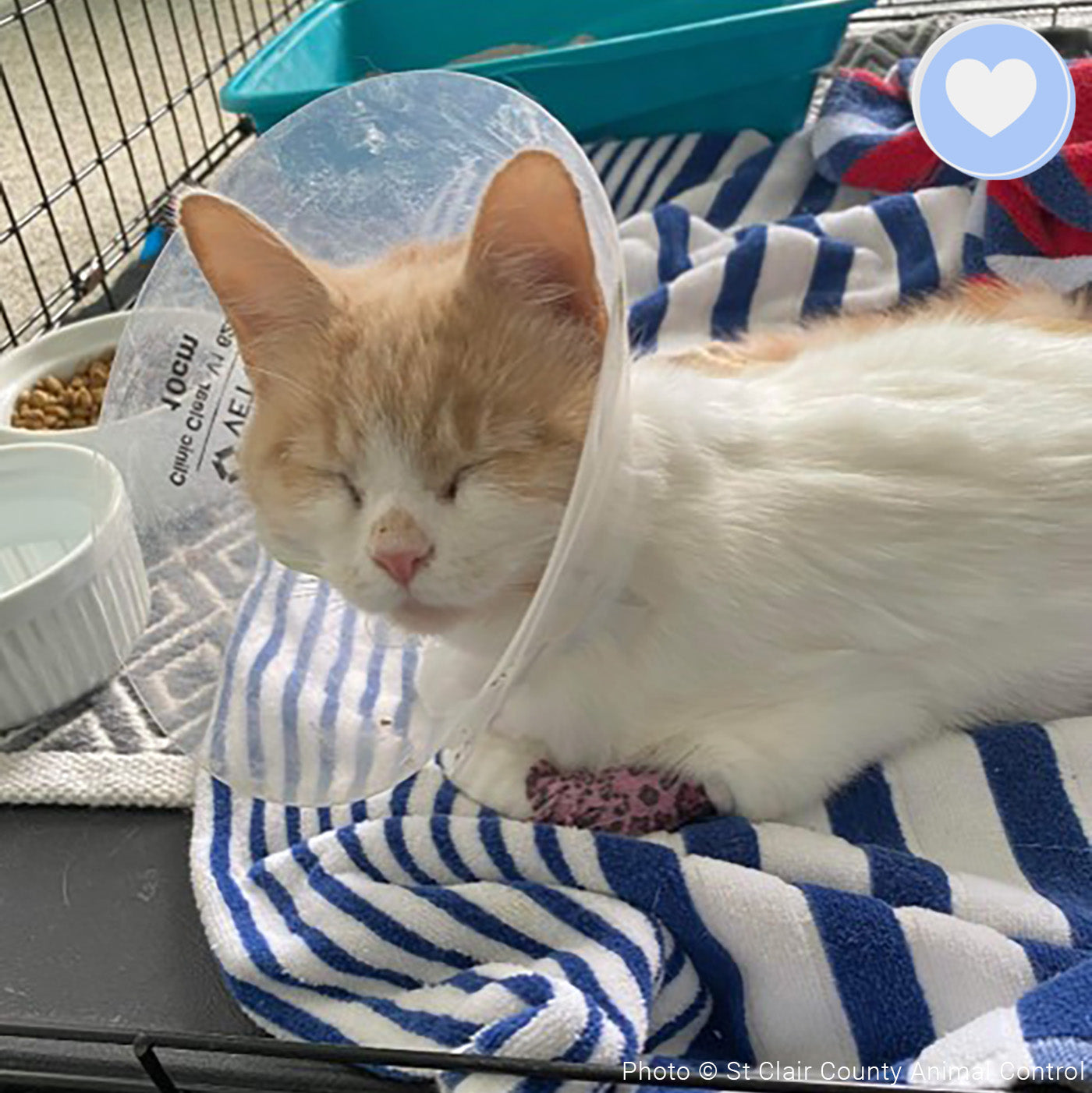 Funded - Help Penelope Play Without Pain、mySite、camillekostekn