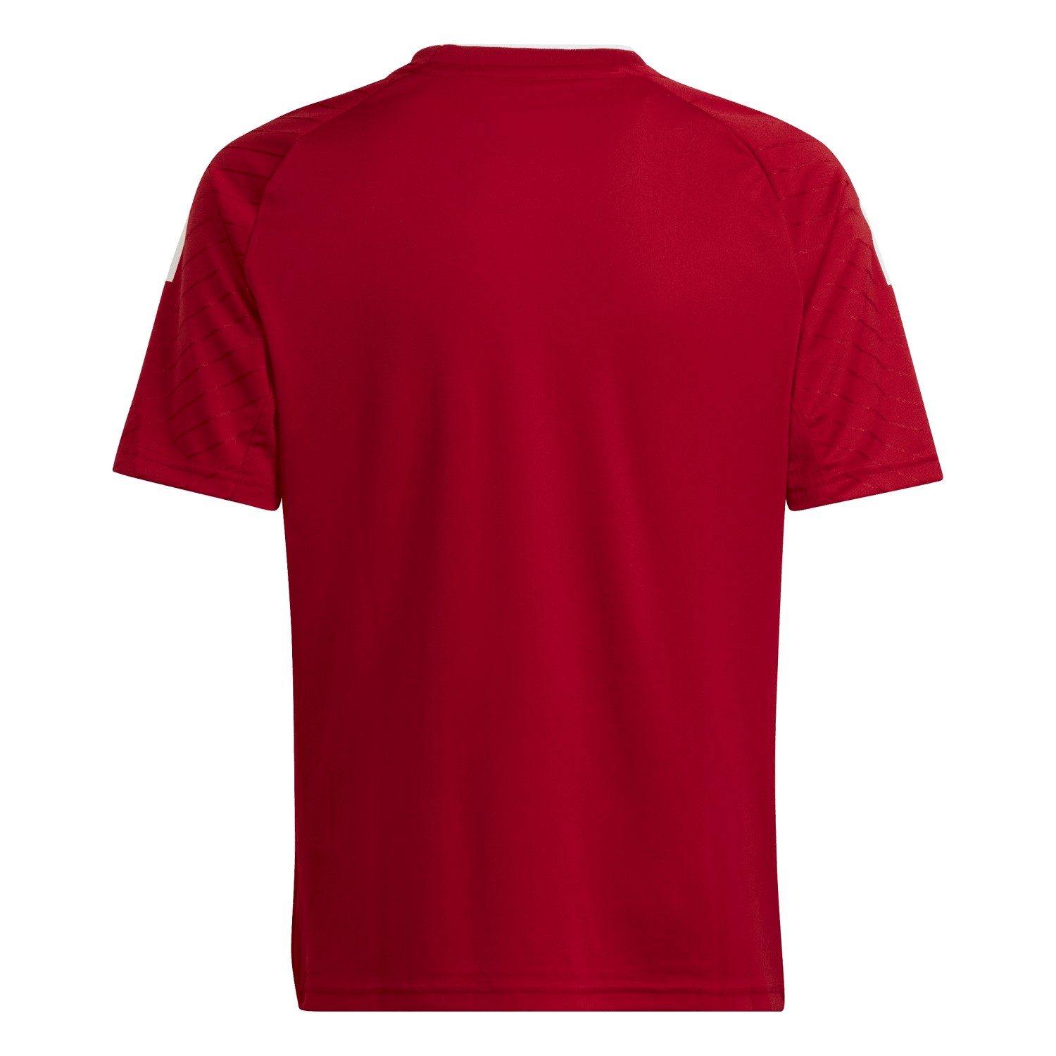 adidas Youth Campeon 23 Jersey - Red、mySite、noshort