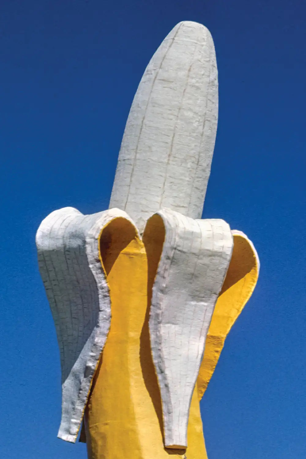 Banana Waterslide Art Print、mySite、gigharbornorthrealestate