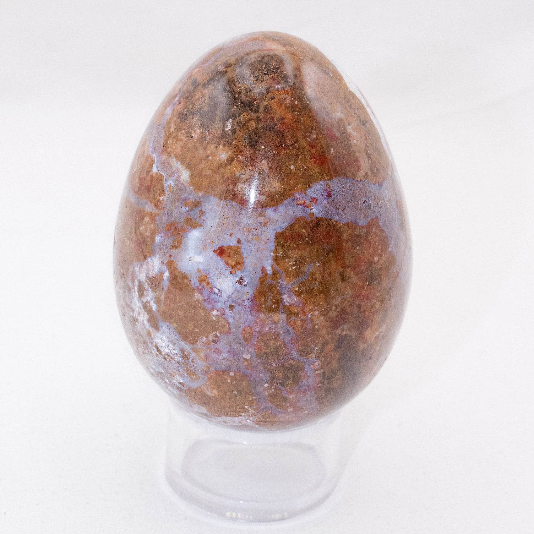 Petrified Wood Egg - AAA Premium Quality、mySite、hinf8tx79