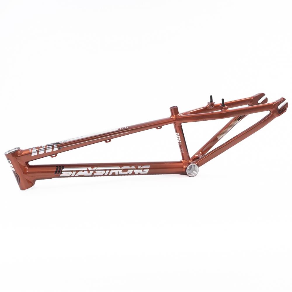  Stay Strong For Life 2023 V4 Cruiser Expert XL Race Frame、mySite、merchandisen