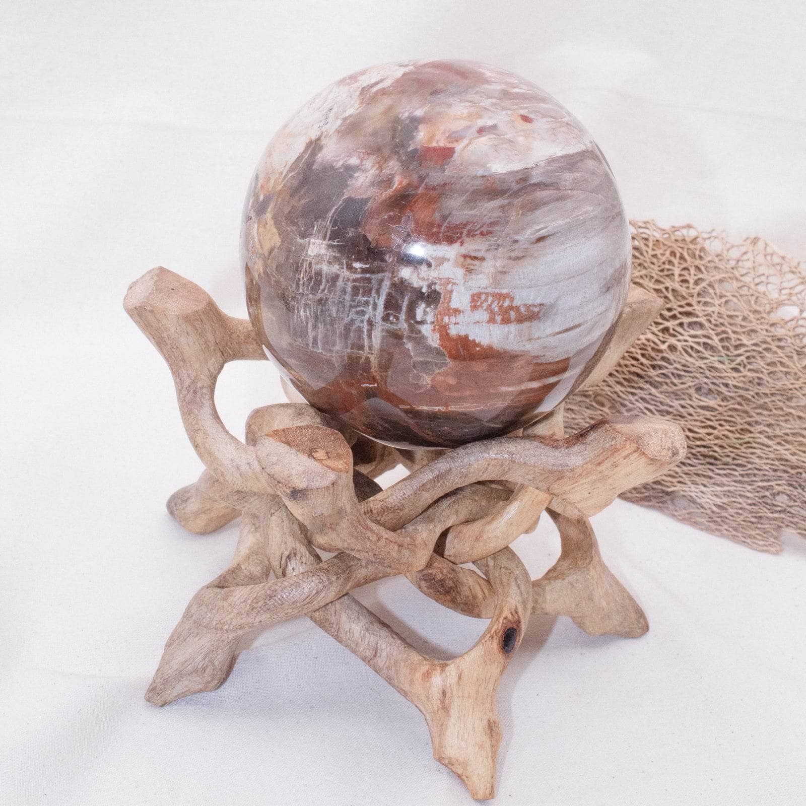 Petrified Wood Sphere - AAA Premium Quality、mySite、hinf8tx79