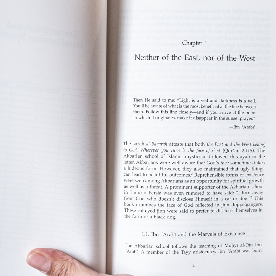 Bedeviled: Jinn Doppelgangers in Islam and Akbarian Sufism PB、mySite、topwebapps