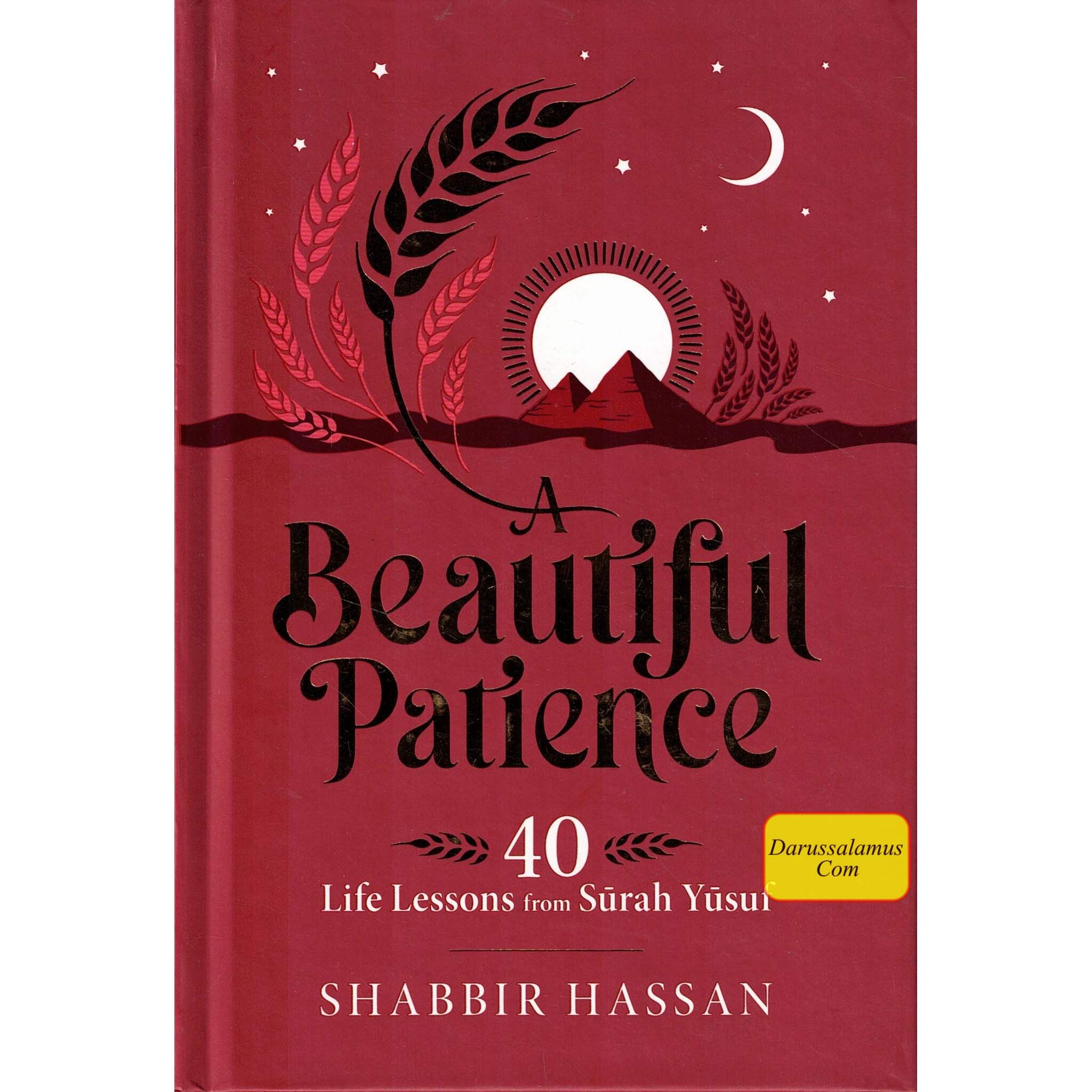 A Beautiful Patience 40 Life Lessons from Surah Yusuf、mySite、topwebapps