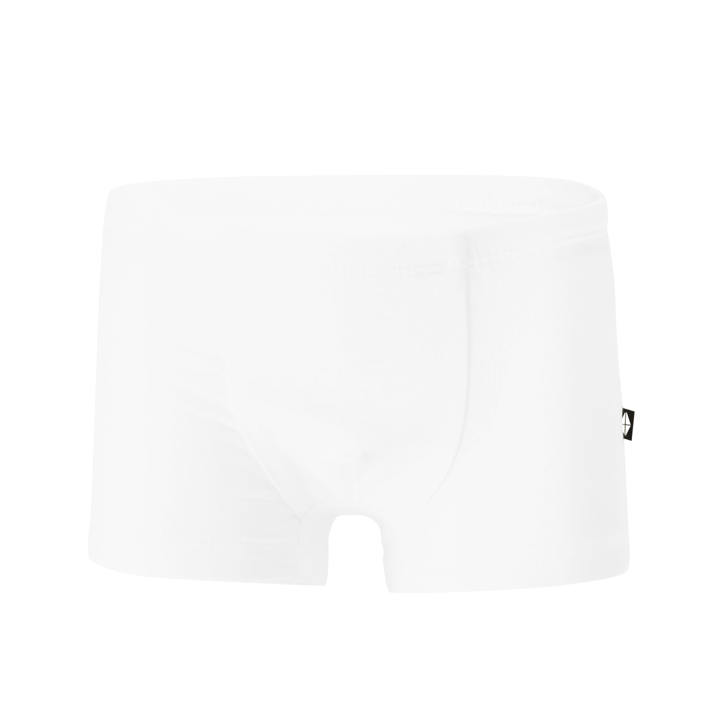  Briefs in Cloud、mySite、layawaytickets