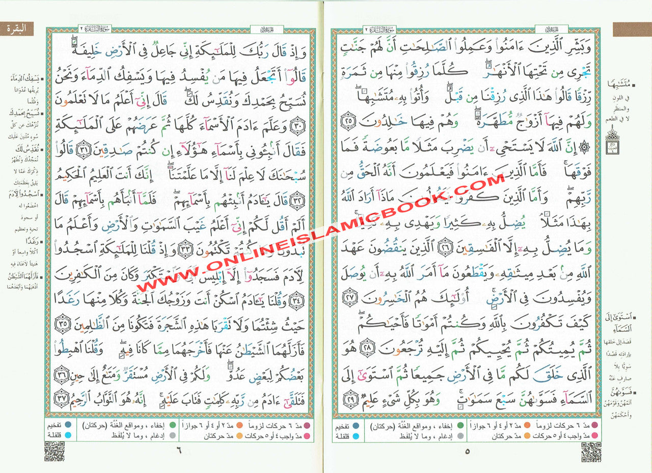 Color Coded (Tajweed) Quran in 30 Parts(Separate Juz) Regular Full Size with Leather Holding Case (Uthmani Arabic script Arabic Only)、mySite、topwebapps
