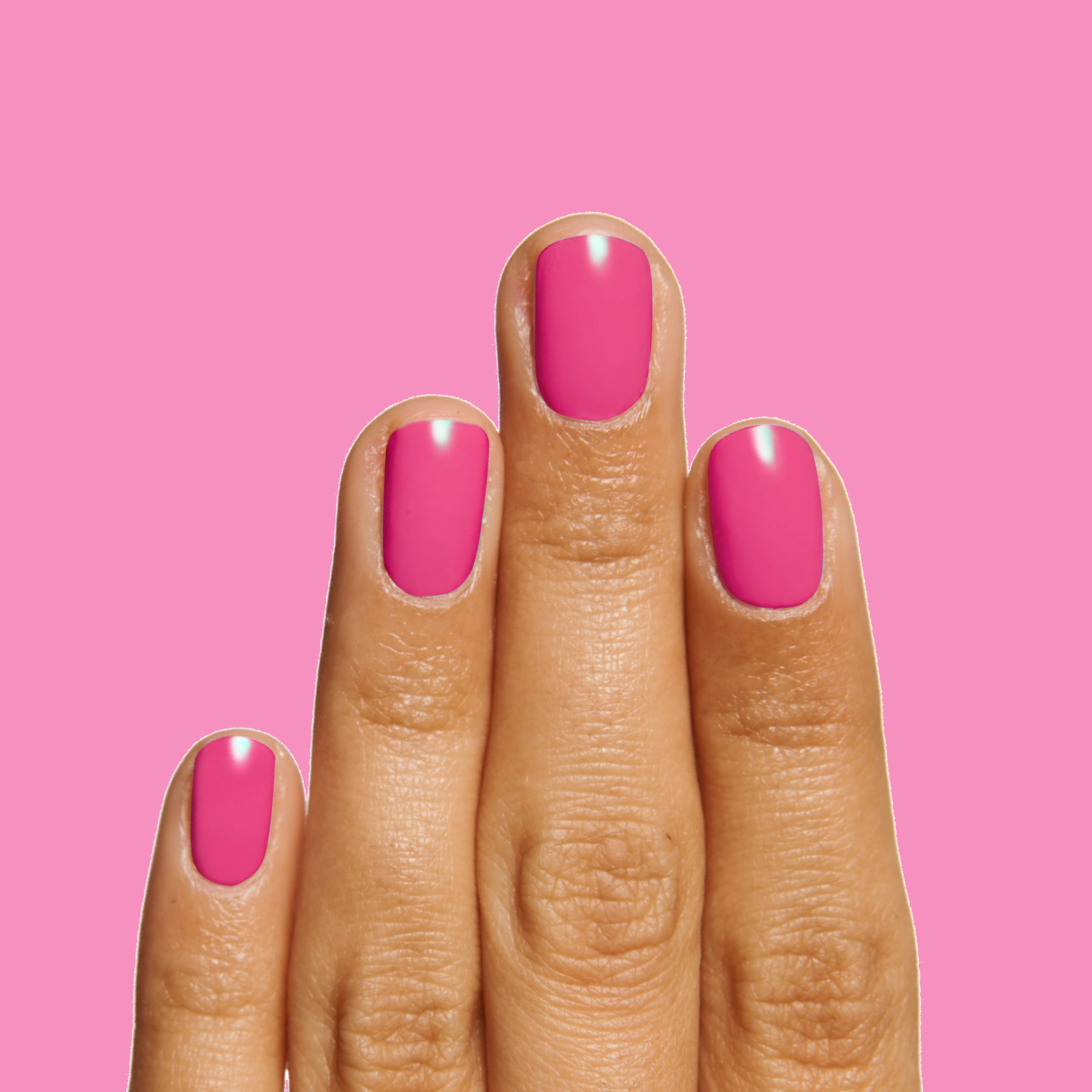 WILD ORCHID、mySite、solidvoid