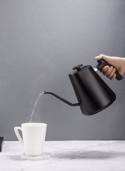 Felicita Square Temperature Control Electric Kettle、mySite、gigharbornorthrealestate