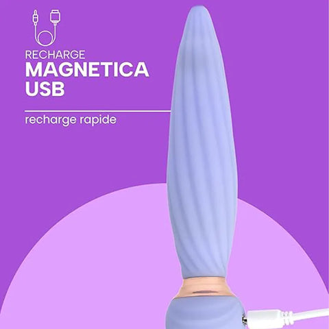 Remote Spindle Anal Vibrator