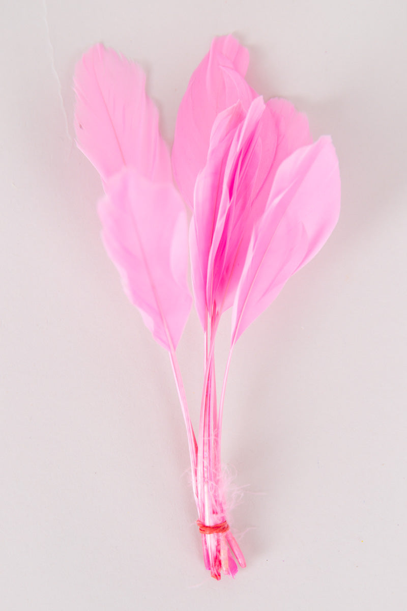 Stripped Coque Feathers Bundle of 8- Red Rubber Band、mySite、hinf8tx79