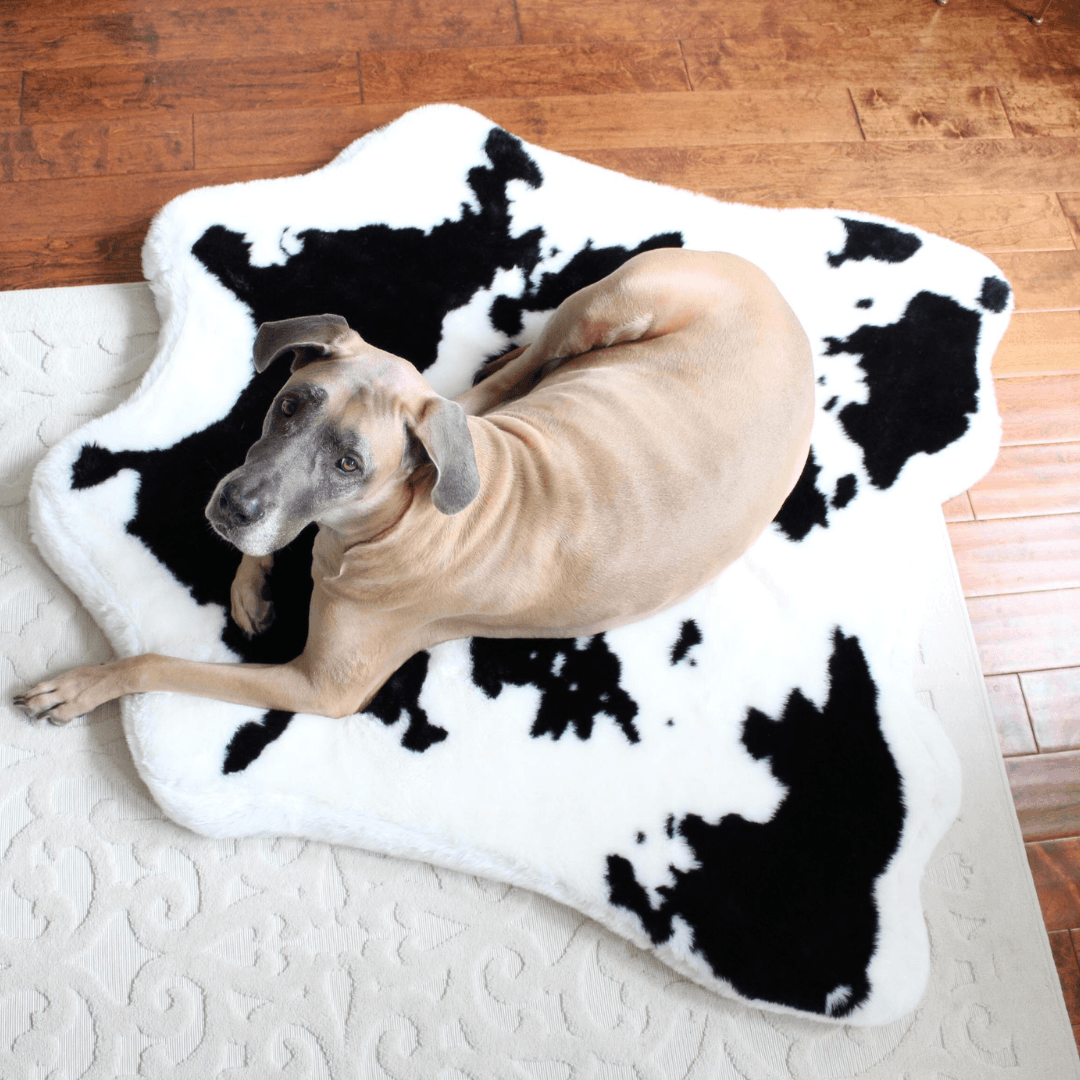 PupRug™ Animal Print Memory Foam Dog Bed - Black Faux Cowhide、mySite、solidvoid