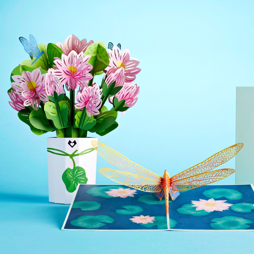 Lotus & Dragonfly Bundle、mySite、solidvoid