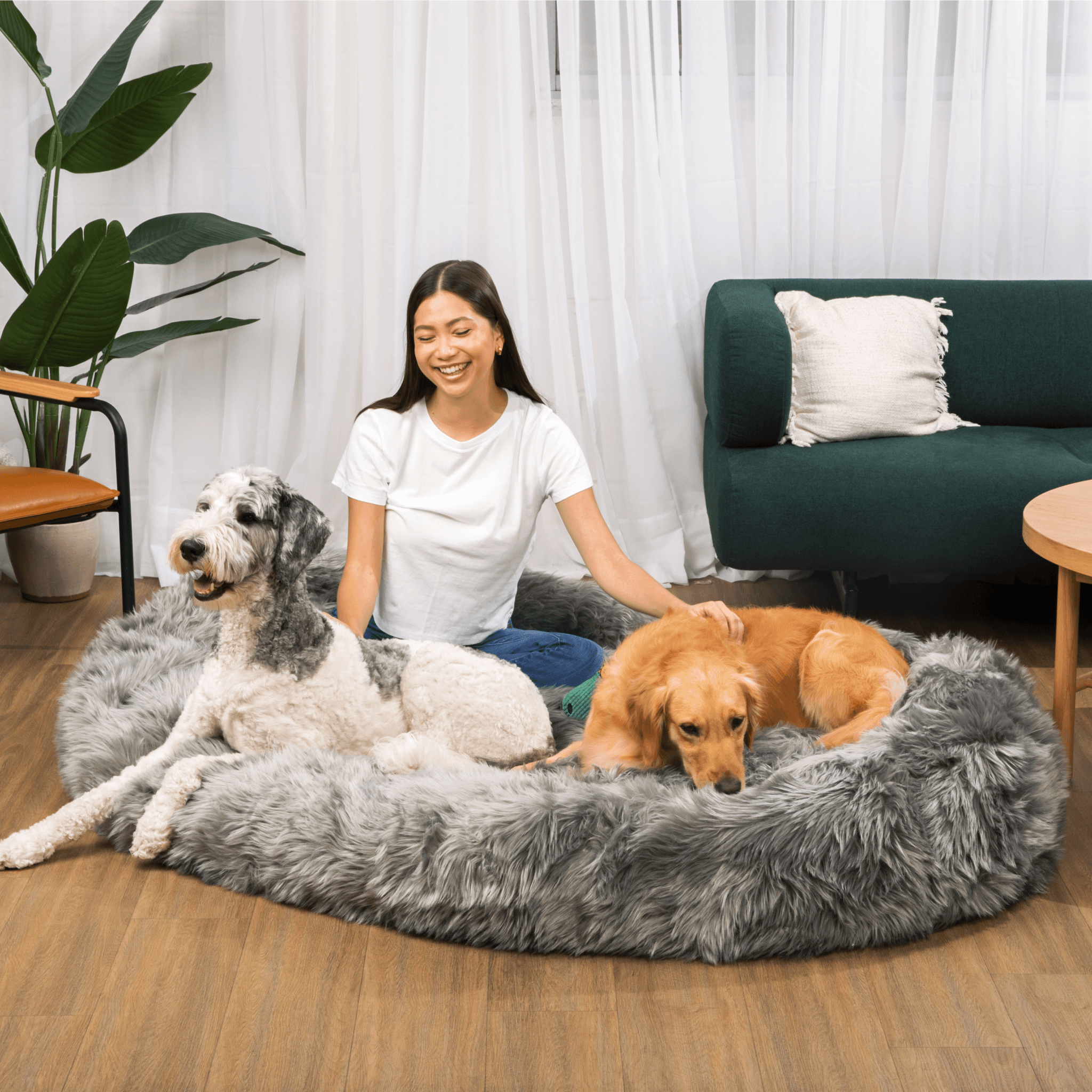 PupCloud™ Human-Size Faux Fur Memory Foam Dog Bed - Charcoal Grey、mySite、solidvoid
