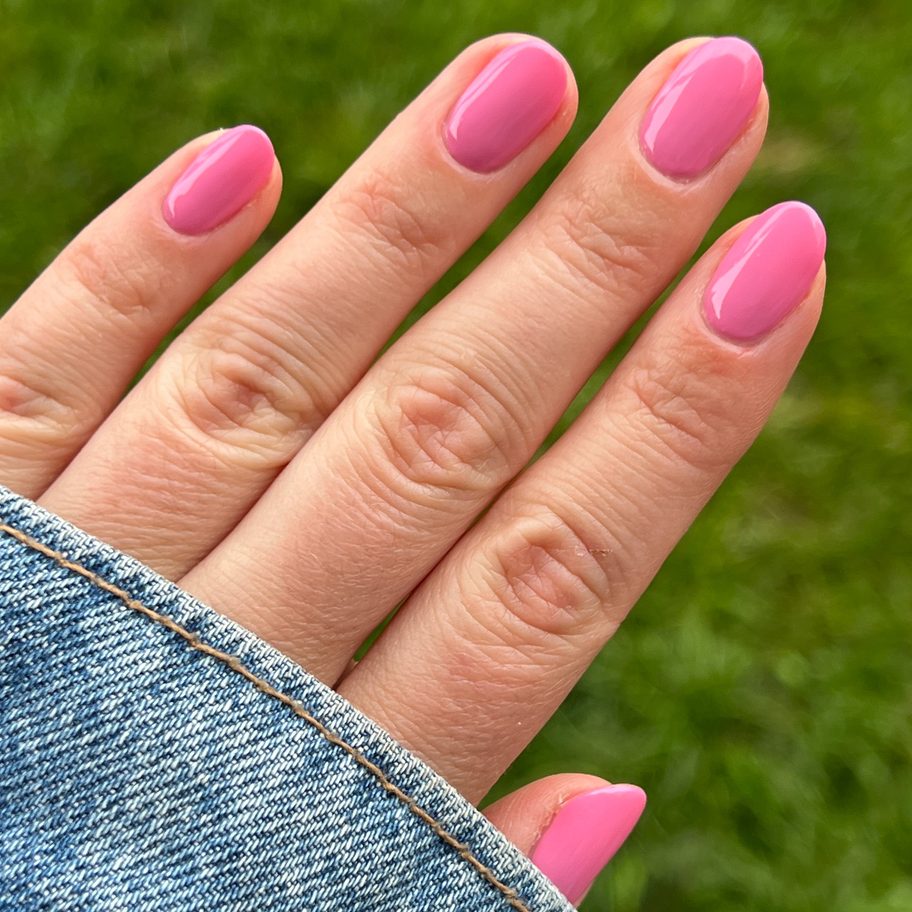 Taffy、mySite、solidvoid