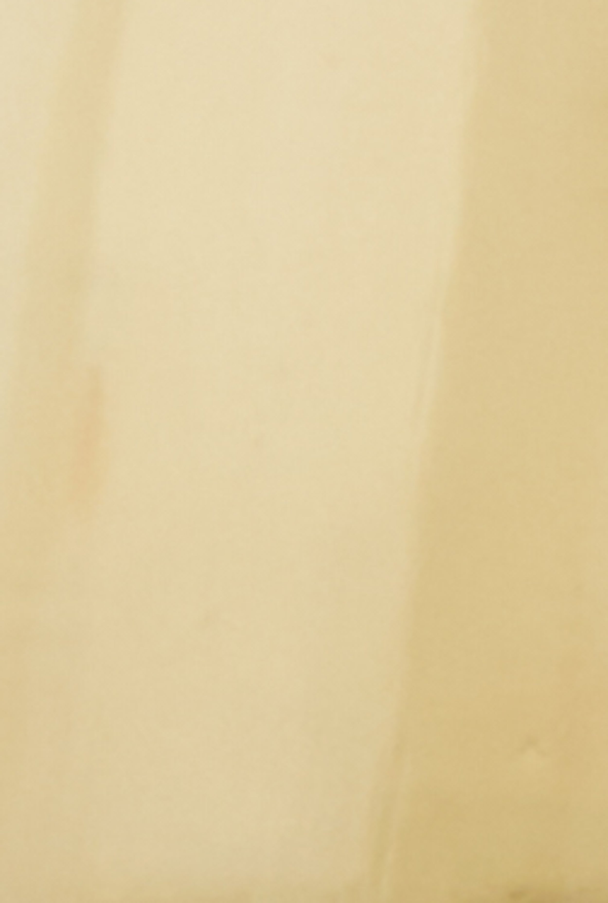 Ti Amo Perfume、mySite、camillekostekn