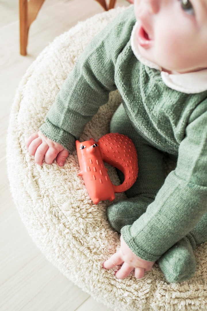 Cyril Squirrel Fox, Oli & Carol x Donna Wilson、mySite、g9winljtr