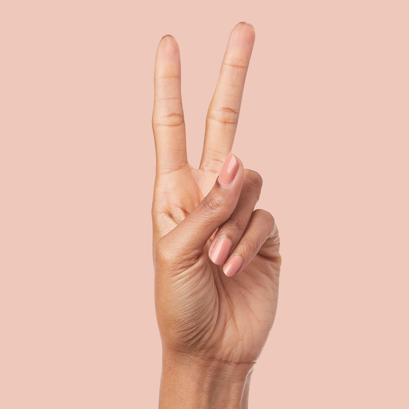 Start Small、mySite、solidvoid